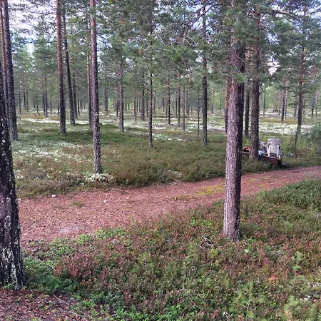 Ivar